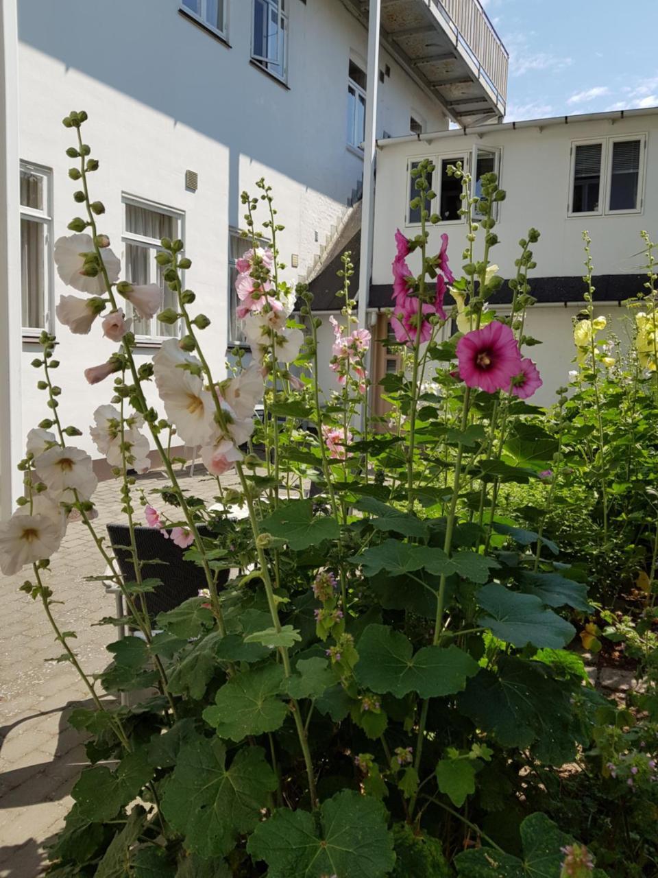 Hotel Sandvig Havn Allinge-Sandvig Exterior foto